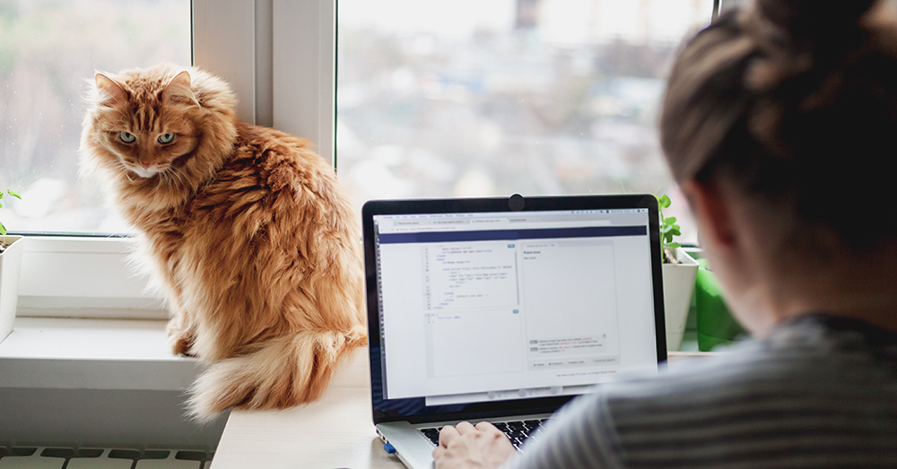 Homeoffice