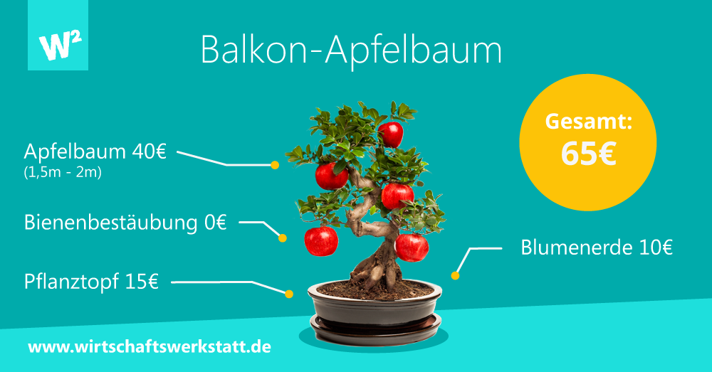 Balkon-Apfelbaum